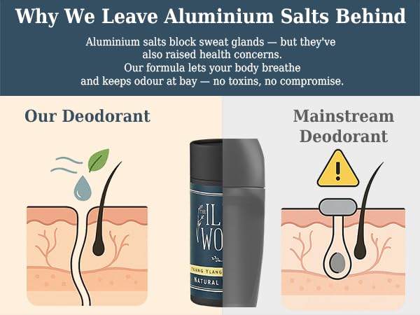 The Ilex Wood - Ylang Ylang & Cedarwood Natural Deodorant - 2.4 fl oz. Natural Deo in Recyclable Cardboard Tube, Vegan, no Plastic, no Alcohol, no Toxins, no Aluminium Salt & Cruelty Free for Women & Men
