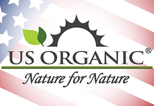 US Organic 100% Pure Yarrow Essential Oil, USDA Certified Organic, Steam Distilled, Achillea Millefolium, Therapeutic Grade, Calming & Soothing, Skin Care & Aromatherapy, Sourced from Bulgaria (5 ml)