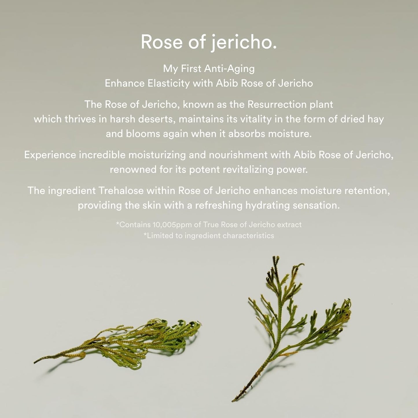 Abib Collagen Eye Crème Jericho Rose Tube for Dark Circles and Puffiness, Under Eye Fine Lines
