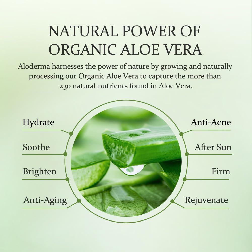 Aloderma Brightening Sheet Masks with 88% Organic Aloe Vera - 5 Pack Facial Masks with Niacinamide, Arginine for Radiant Skin - Evens Skin Tone & Revitalizes Rough, Dull Skin - Aloe Face Mask Sheet