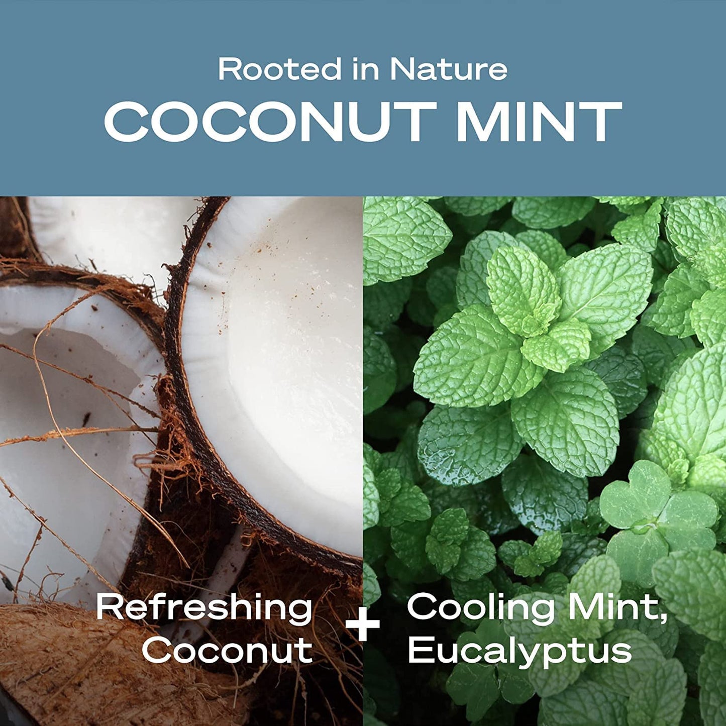 Hey Humans Deodorant, Aluminum Free Deodorant for Women and Men, Contains Naturally Derived Ingredients, All Day Odor Control, Refreshing Essential Oils, Earth Friendly Package, Coconut Mint