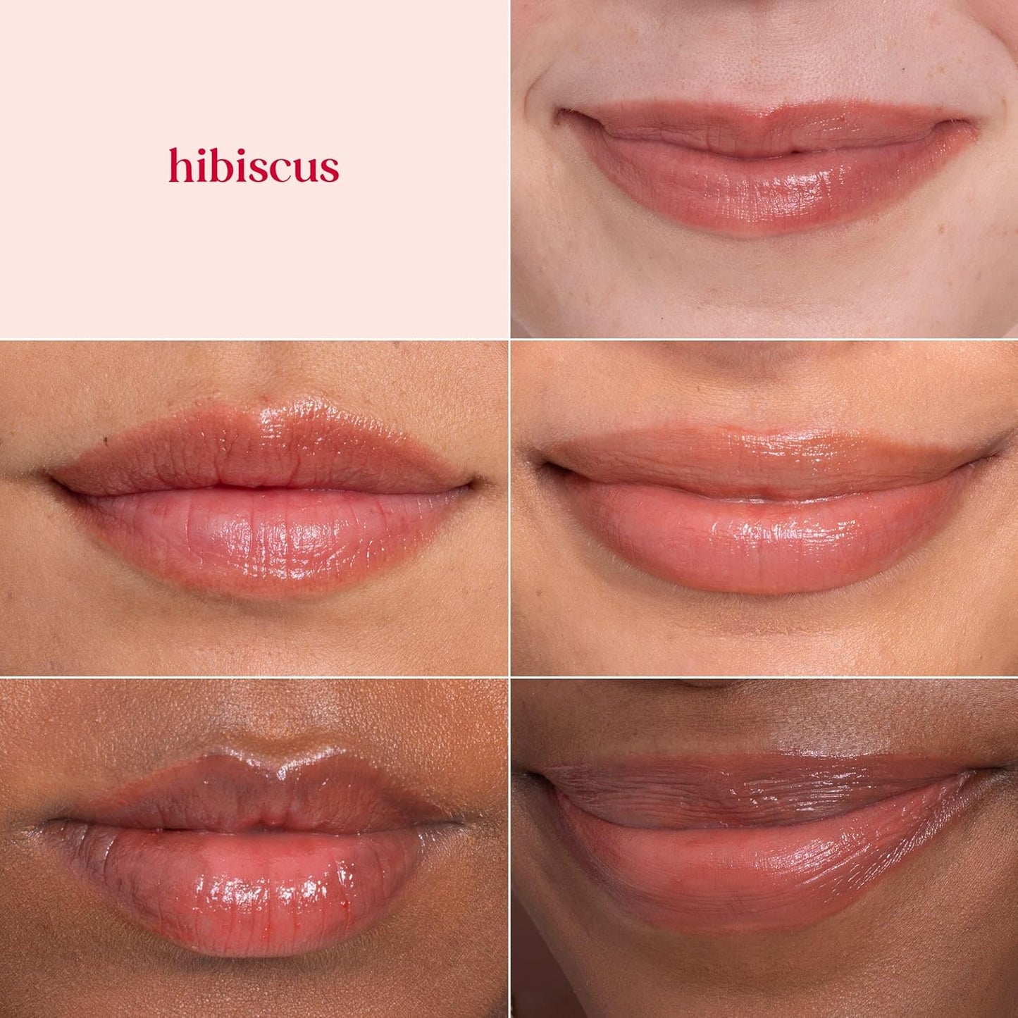 Burt's Bees Lip Tint Balm with Long Lasting 2 in 1 Duo Tinted Balm Formula, Color Infused with Deeply Hydrating Shea Butter for a Natural Looking Buildable Finish, Soft Hibiscus (2-Pack)